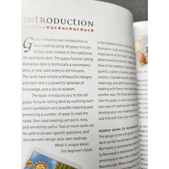 Gypsy Fortunes Book Card Pack Book Set Meditation Affirmation Cards Mindfulness - Picture 8 of 16